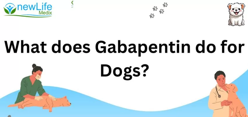 What Does Gabapentin Do For Dogs